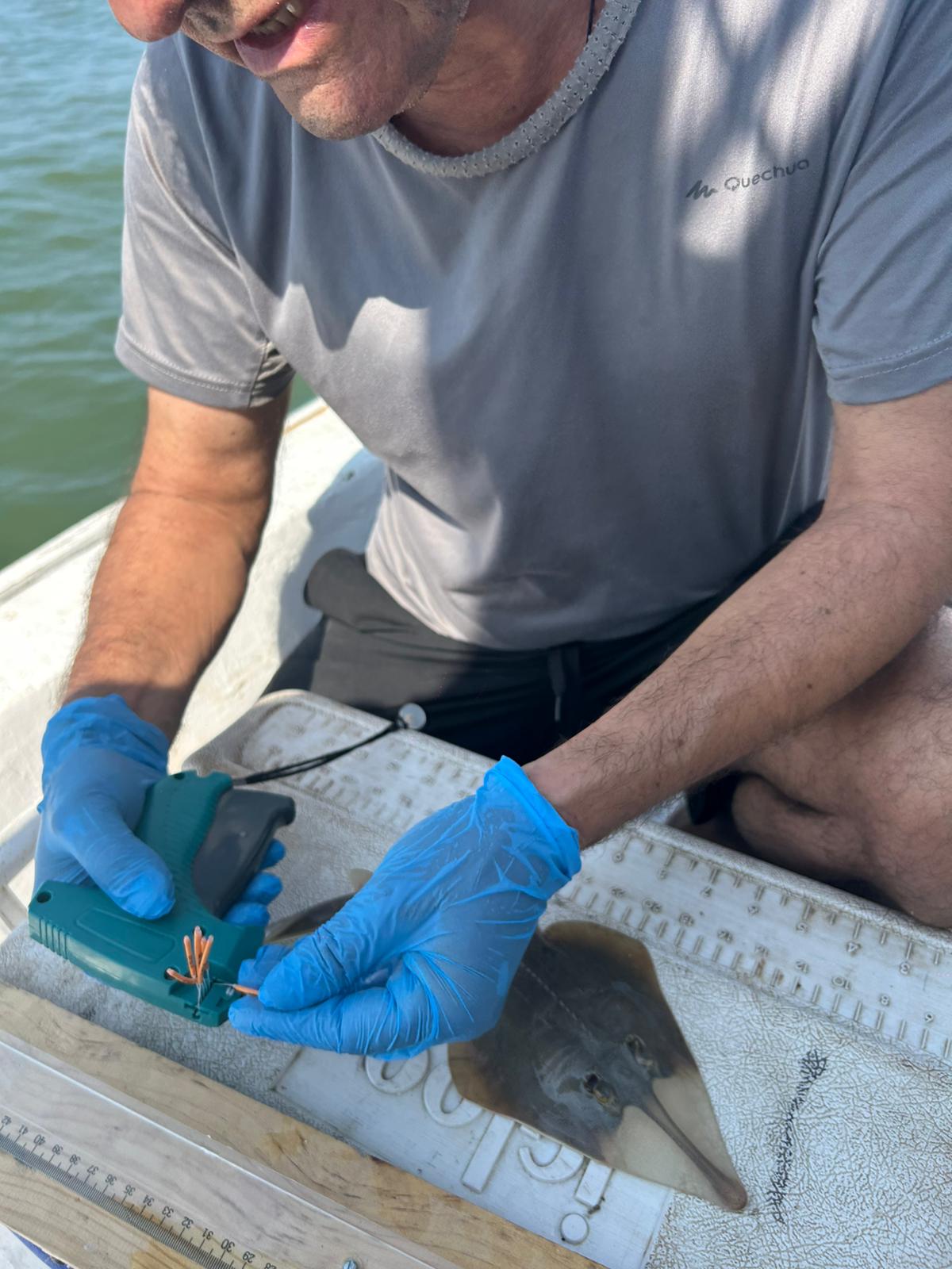 Kemane_Baligi_Projesi-15