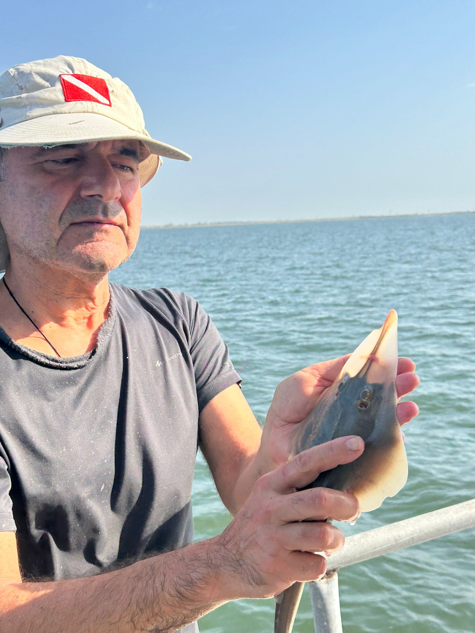 Kemane_Baligi_Projesi-19