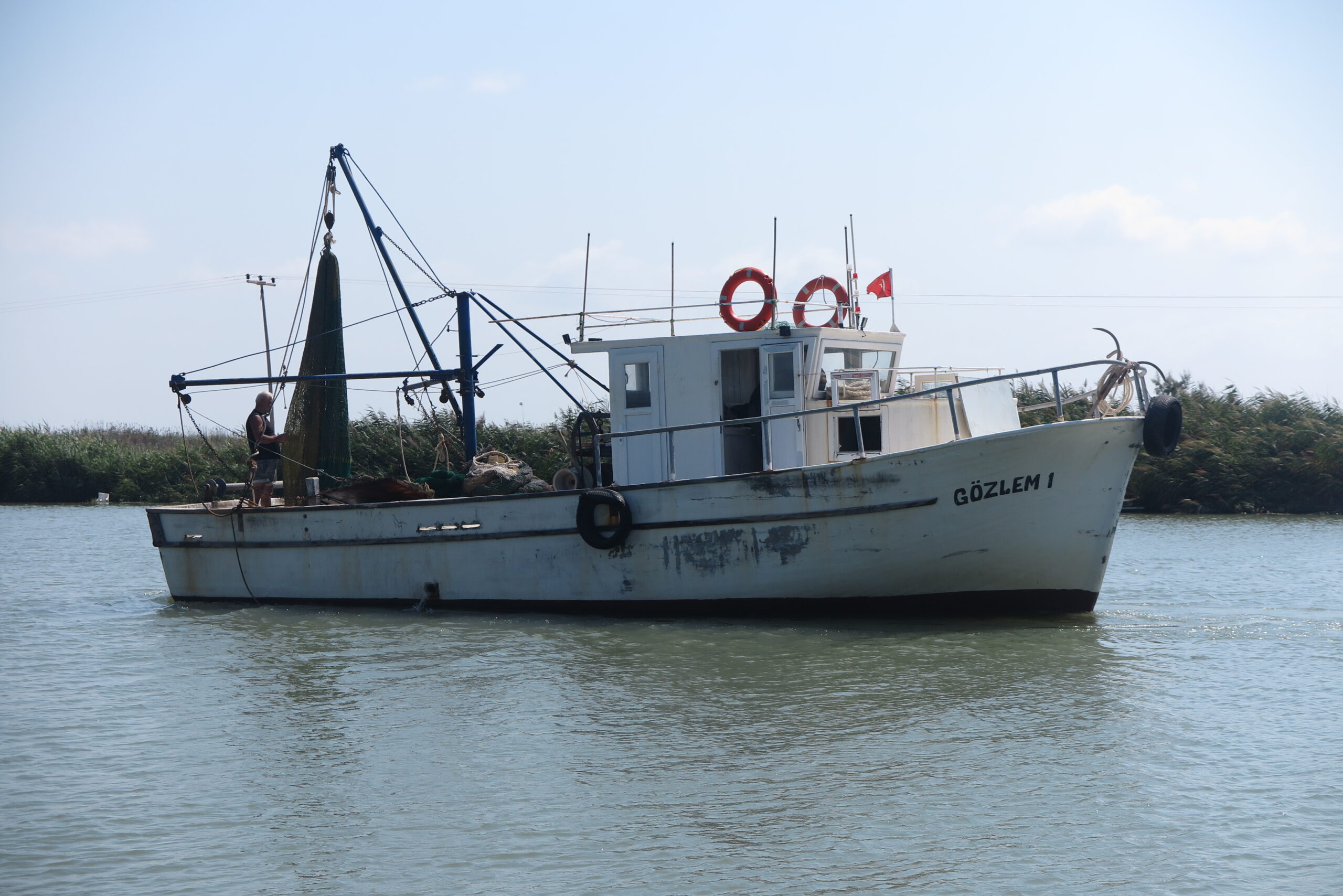 Kemane_Baligi_Projesi-27